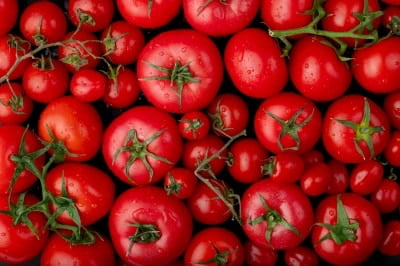 Tomatoes